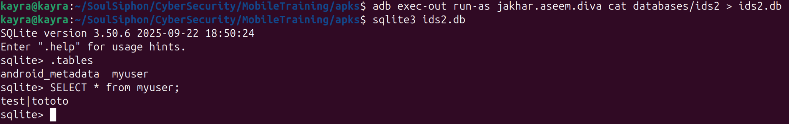 sqlite3 showing the myuser table with the credentials in plaintext