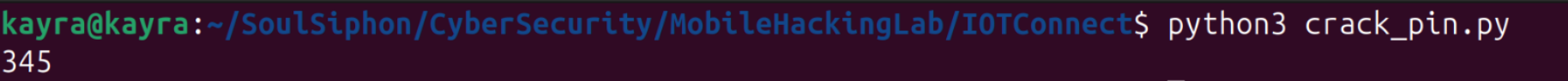 crack_pin.py printing the recovered PIN