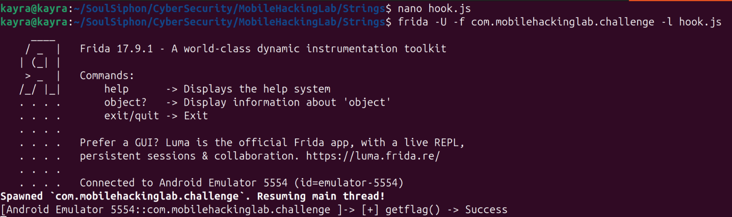 hook.js loaded through frida spawn, and the hook printing getflag's return value